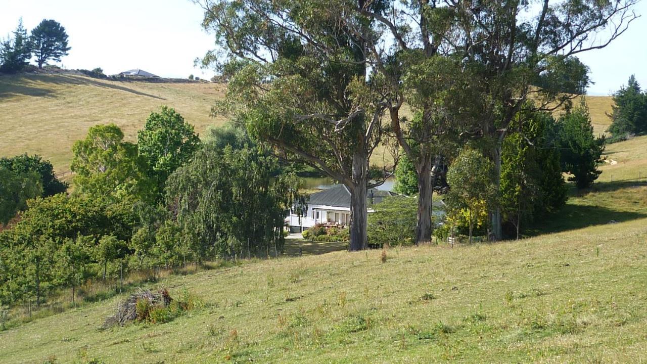 Tasman Farmstay Retreat Glenmhor Ngoại thất bức ảnh