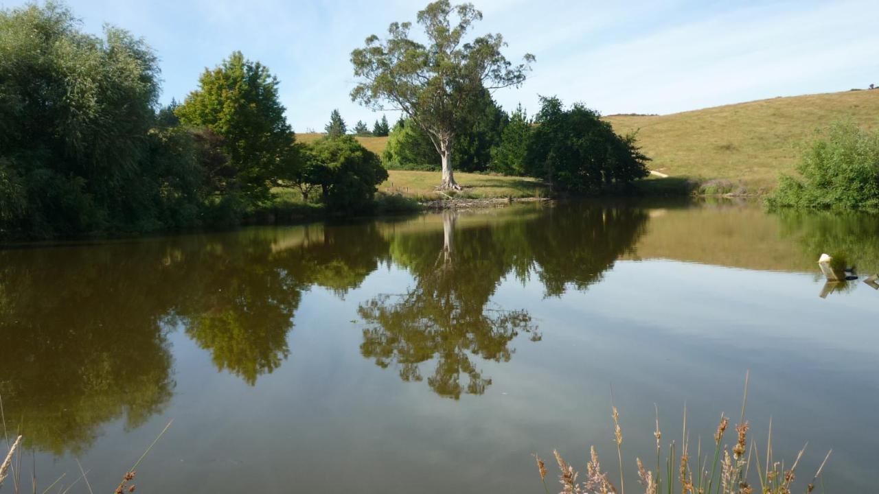 Tasman Farmstay Retreat Glenmhor Ngoại thất bức ảnh