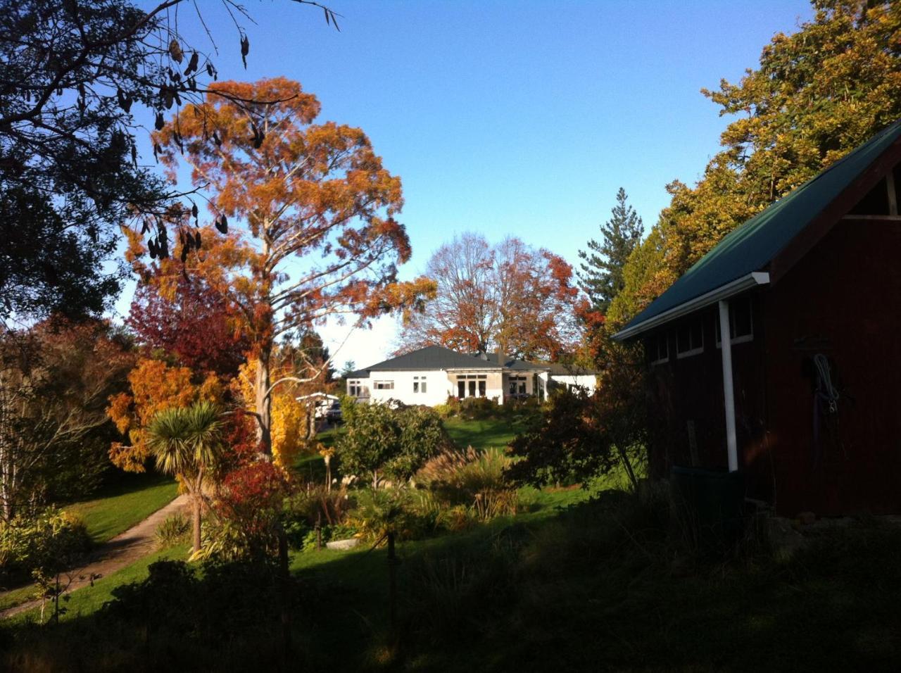 Tasman Farmstay Retreat Glenmhor Ngoại thất bức ảnh